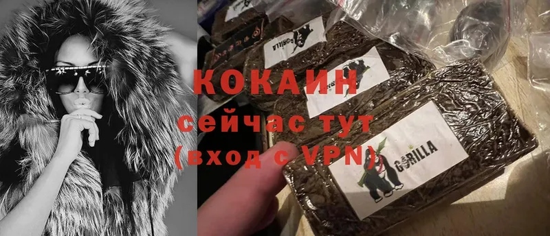 Cocaine Эквадор  Сертолово 